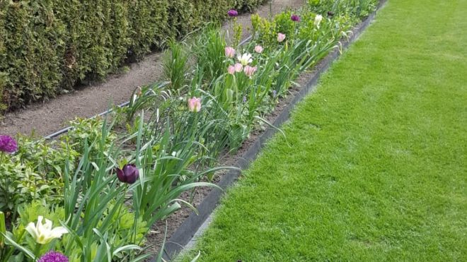 Border Nijverdal ontwikkeld zich goed