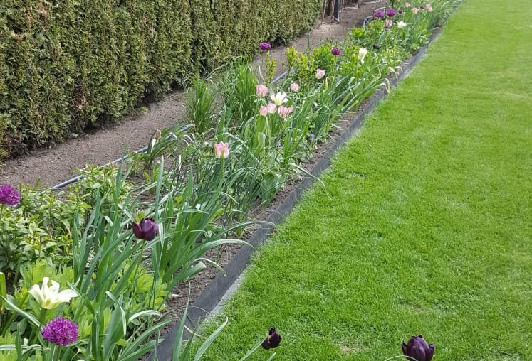 Border Nijverdal ontwikkeld zich goed