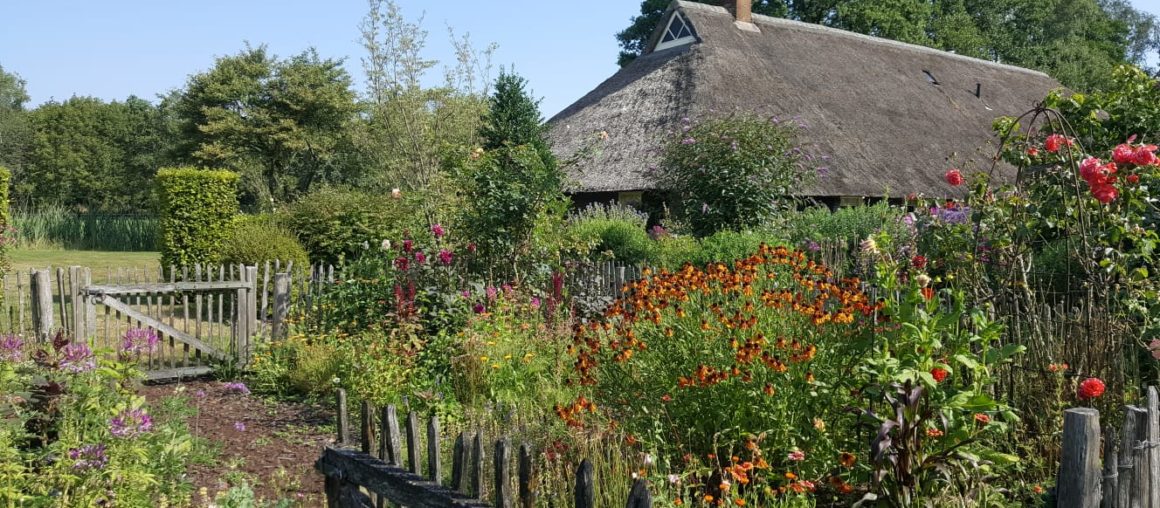 Tuinreis Dutch wave met Garden tours