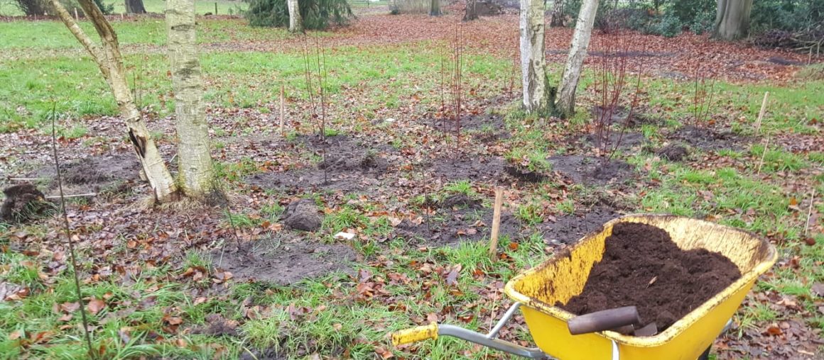 Aanplant vogelbos buitengebied Heino