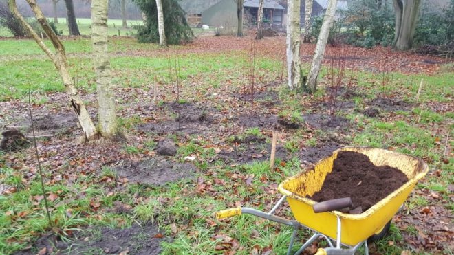 Aanplant vogelbos buitengebied Heino