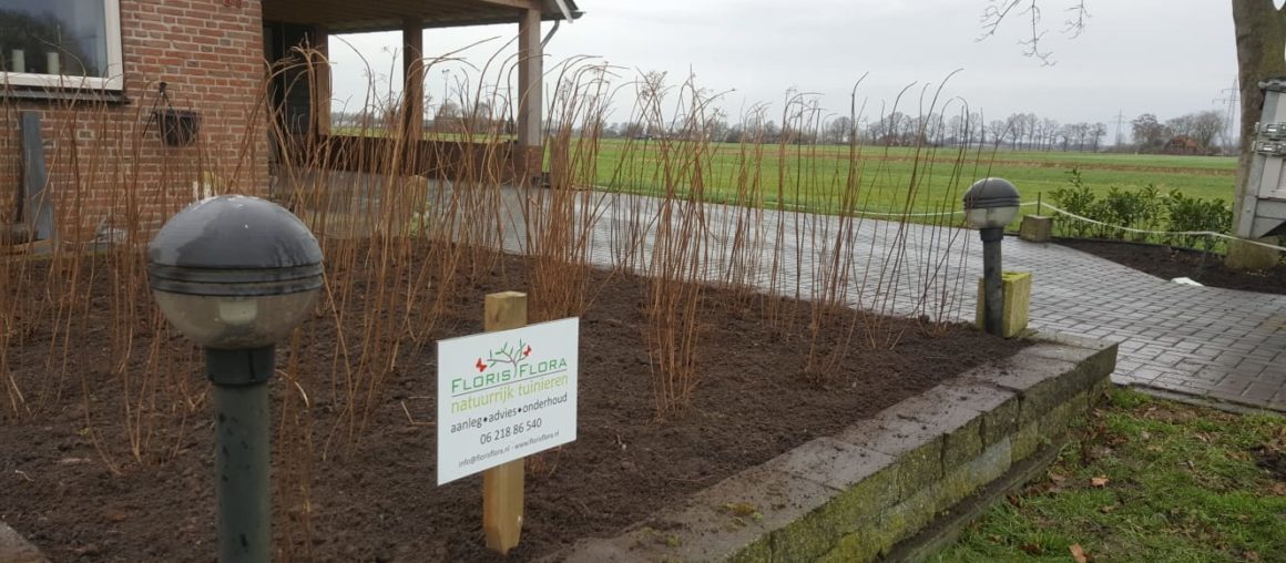 Inplantklus landelijk gebied Wijhe