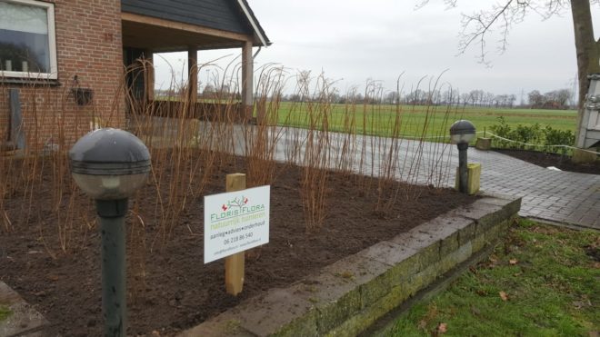 Inplantklus landelijk gebied Wijhe