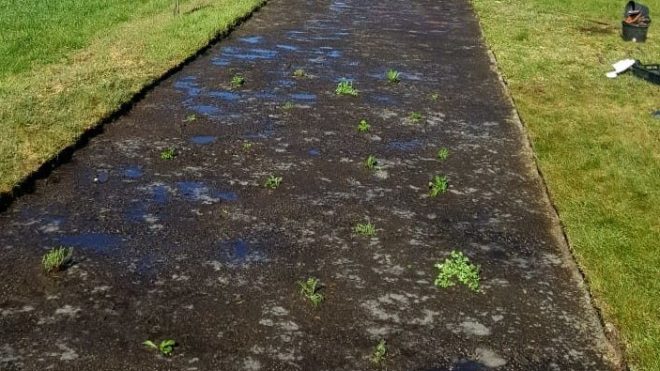 Buitengebied Heino: aanleggen meerjarige bloemenweide