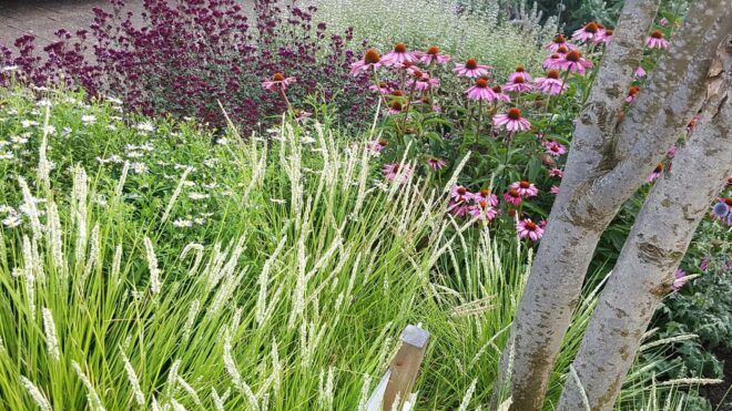 Natuurrijke borders @ Heino 2 jaar oud