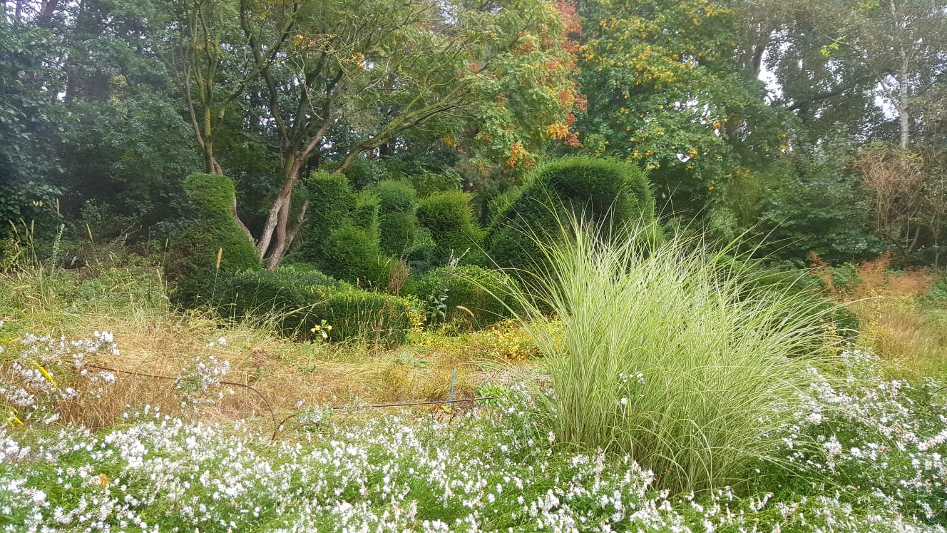 Herfst in de priona tuinen Floris Flora