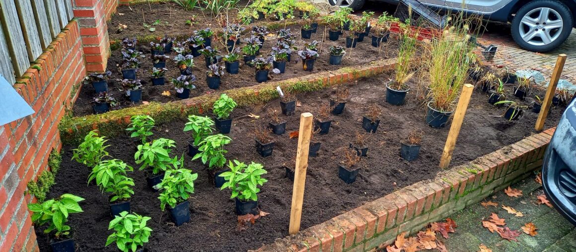 Natuurvriendelijke beplanting